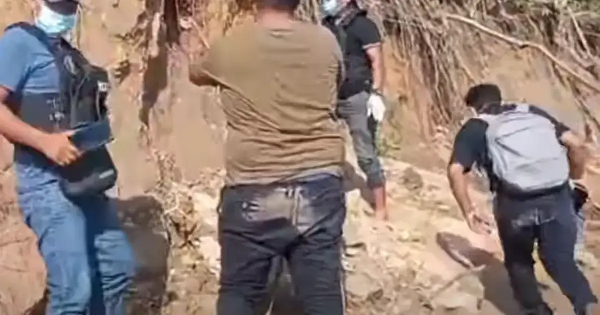 Imagen sin título
