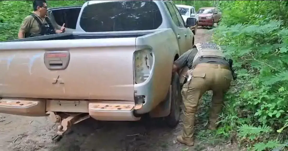 Imagen sin título