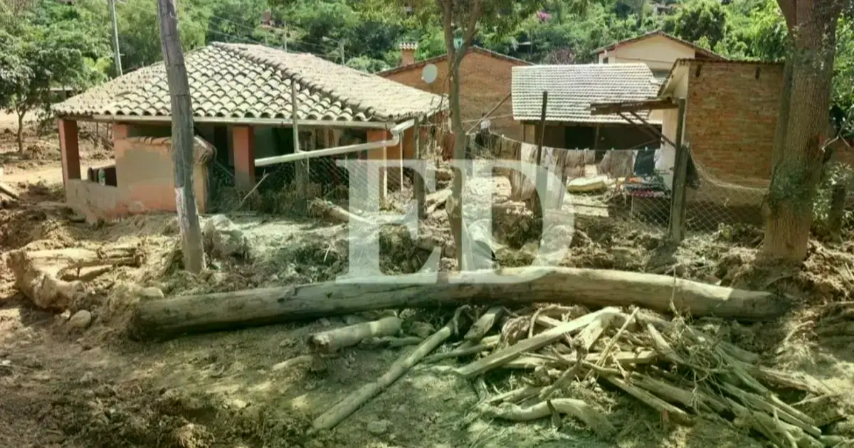 Imagen sin título
