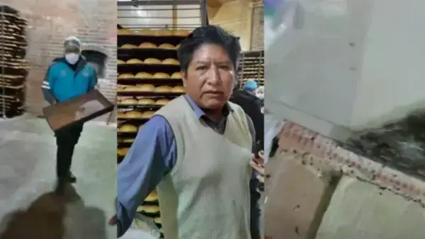 Imagen sin título