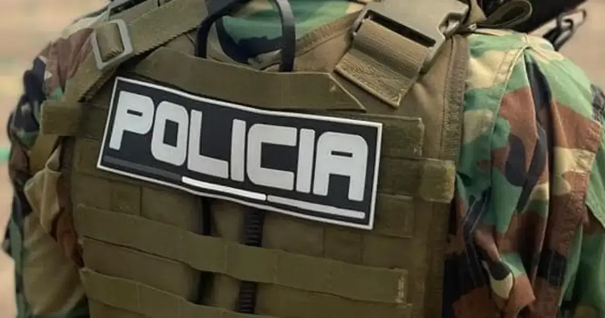 Imagen sin título