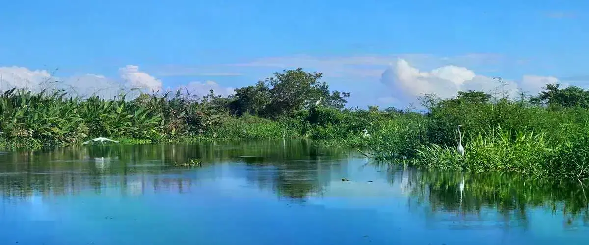 Viaje por el río en la reserva