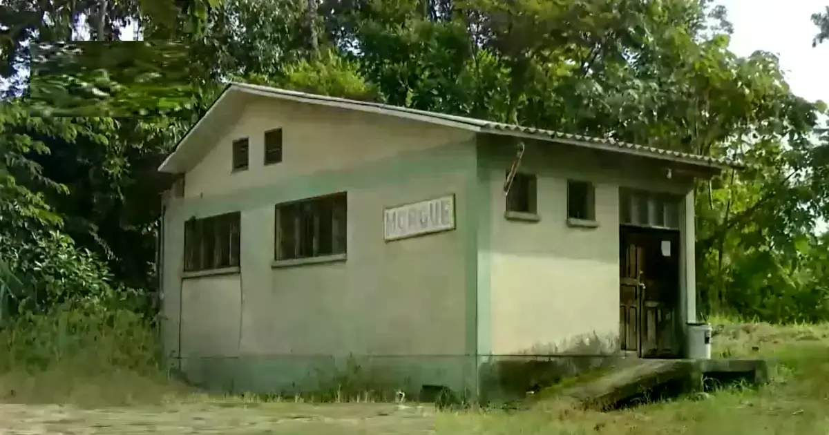 Imagen sin título