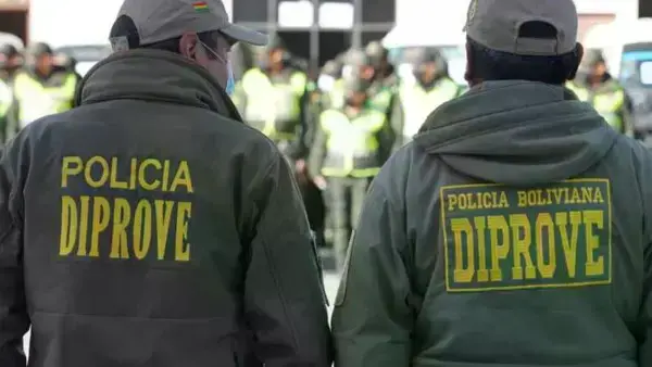 Imagen sin título