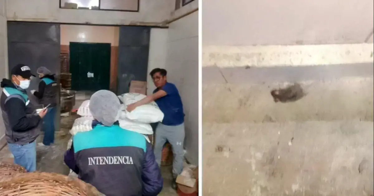Imagen sin título