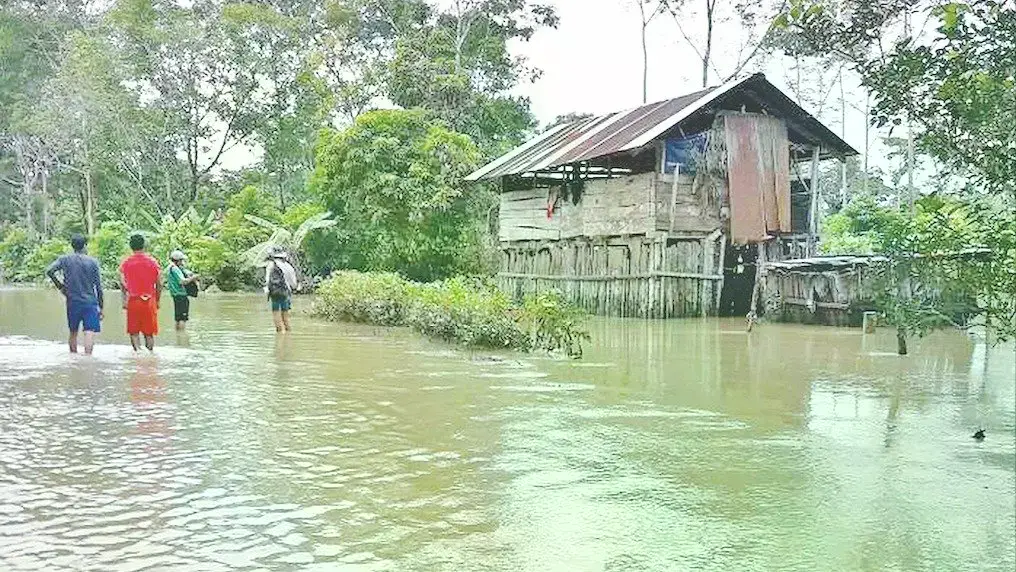 Viviendas afectadas por desborde de río en el Trópico.