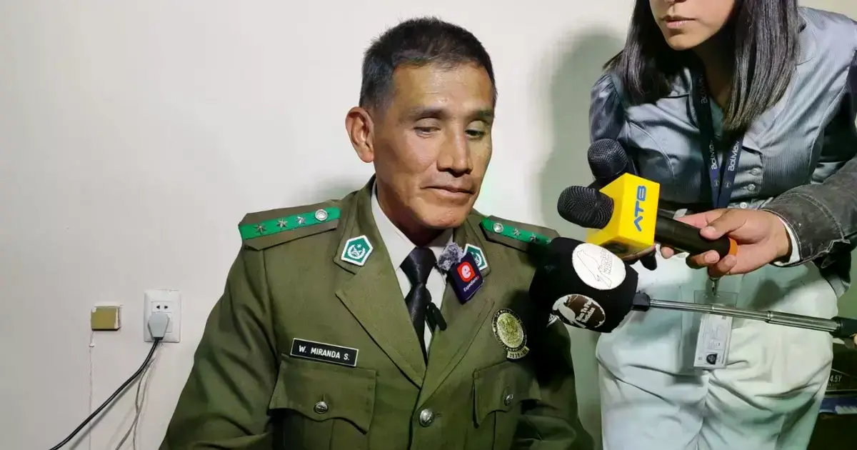 Imagen sin título
