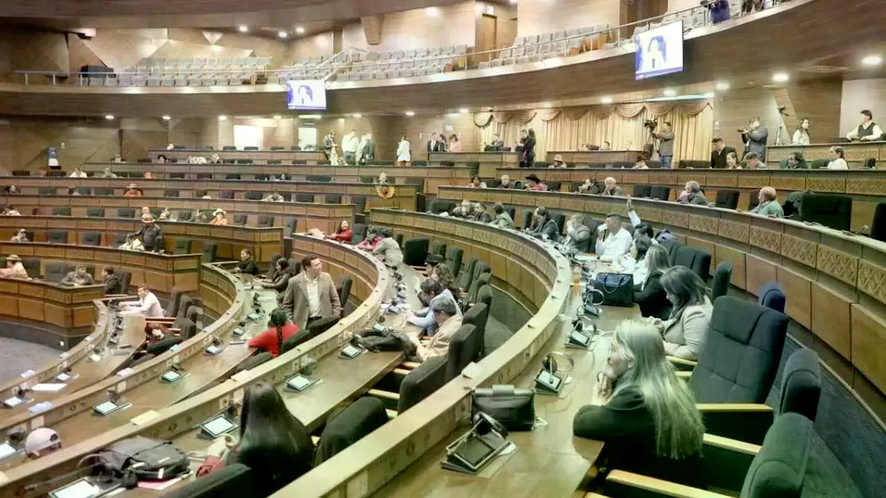 Sesión de la Asamblea Legislativa Plurinacional.