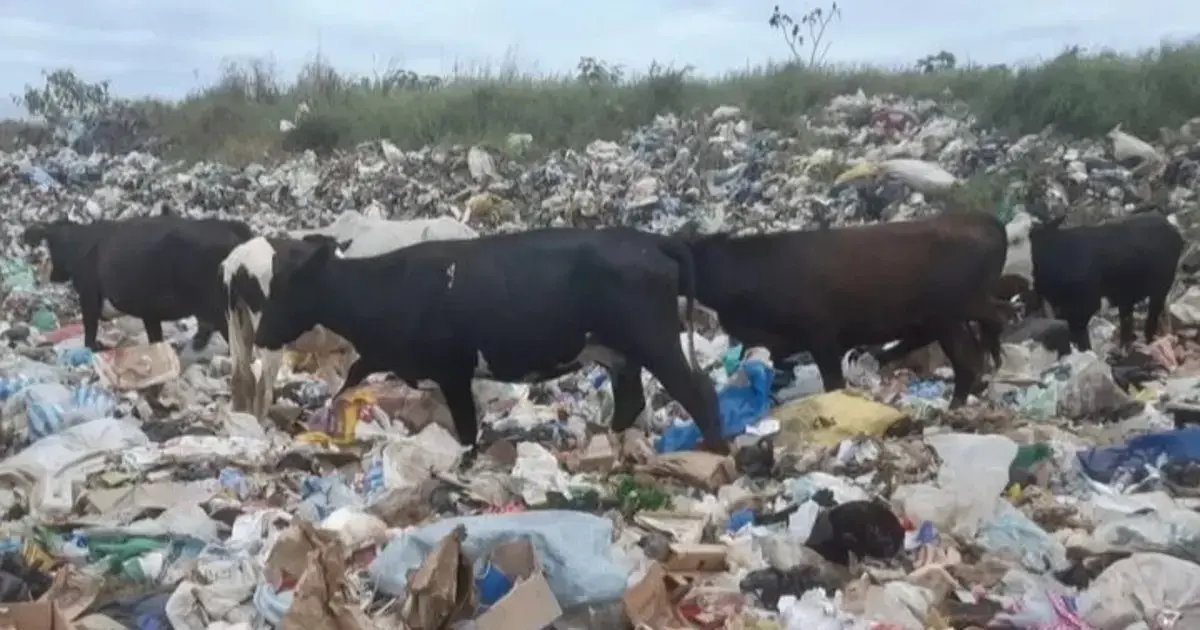 Imagen de la planta de tratamiento de residuos de Okinawa