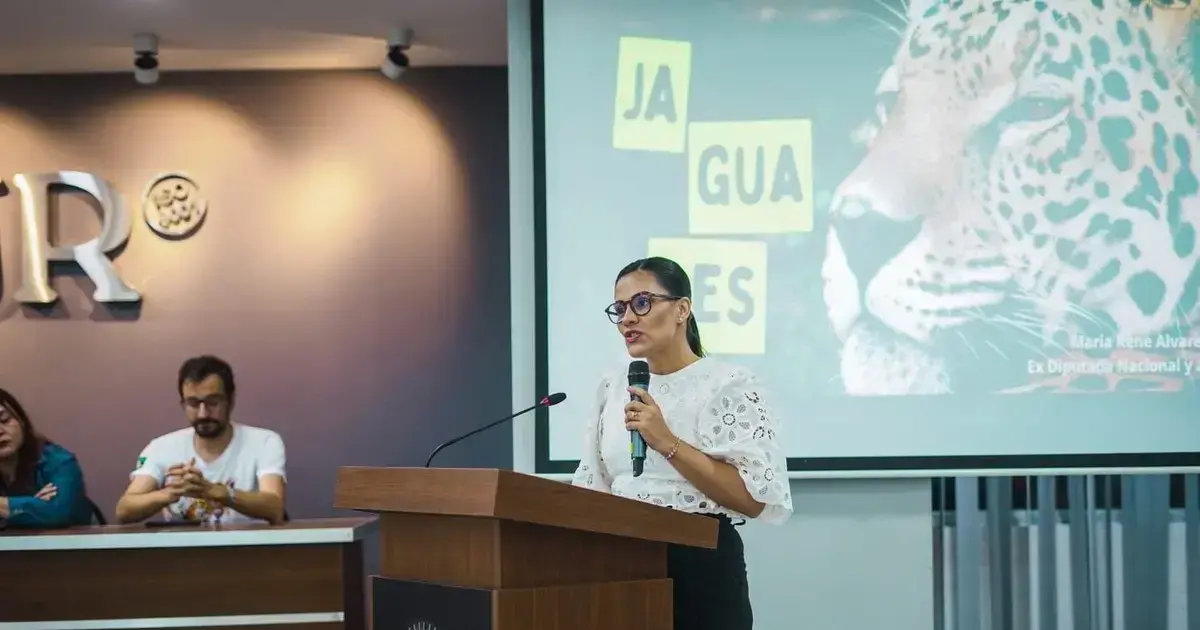Imagen sin título
