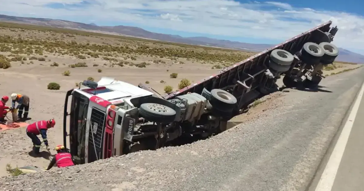 El camión terminó a un costado de la carretera.