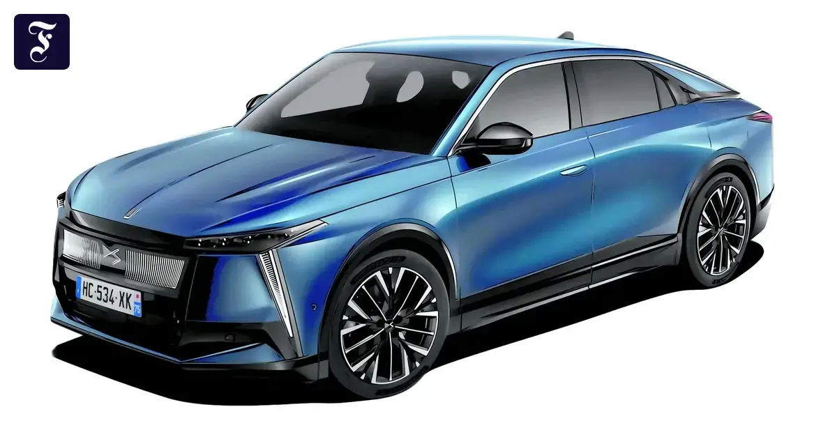 DS Numero 8
