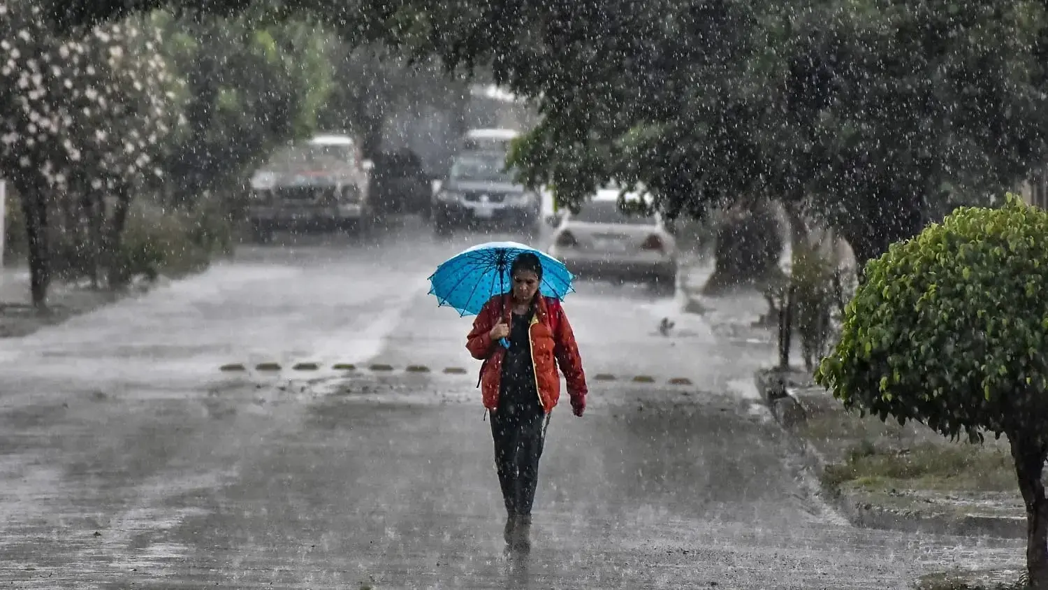 Una mujer se protege de la lluvia con un paraguas.