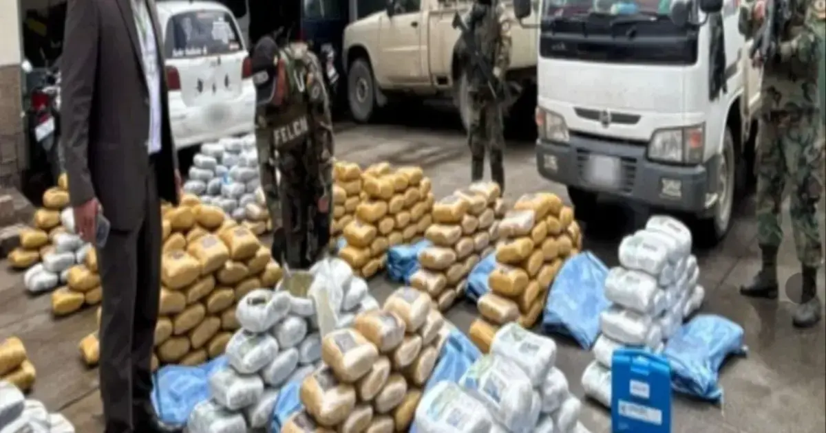 La marihuana en estado húmedo incautada en un operativo.