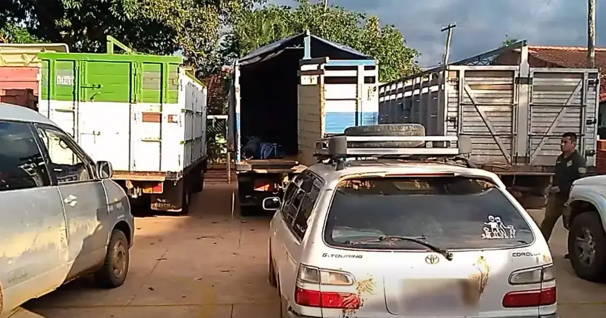Los vehículos secuestrados tras el avasallamiento.