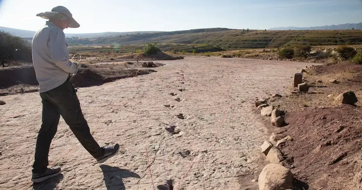 Un miembro del equipo recorre el yacimiento de huellas.