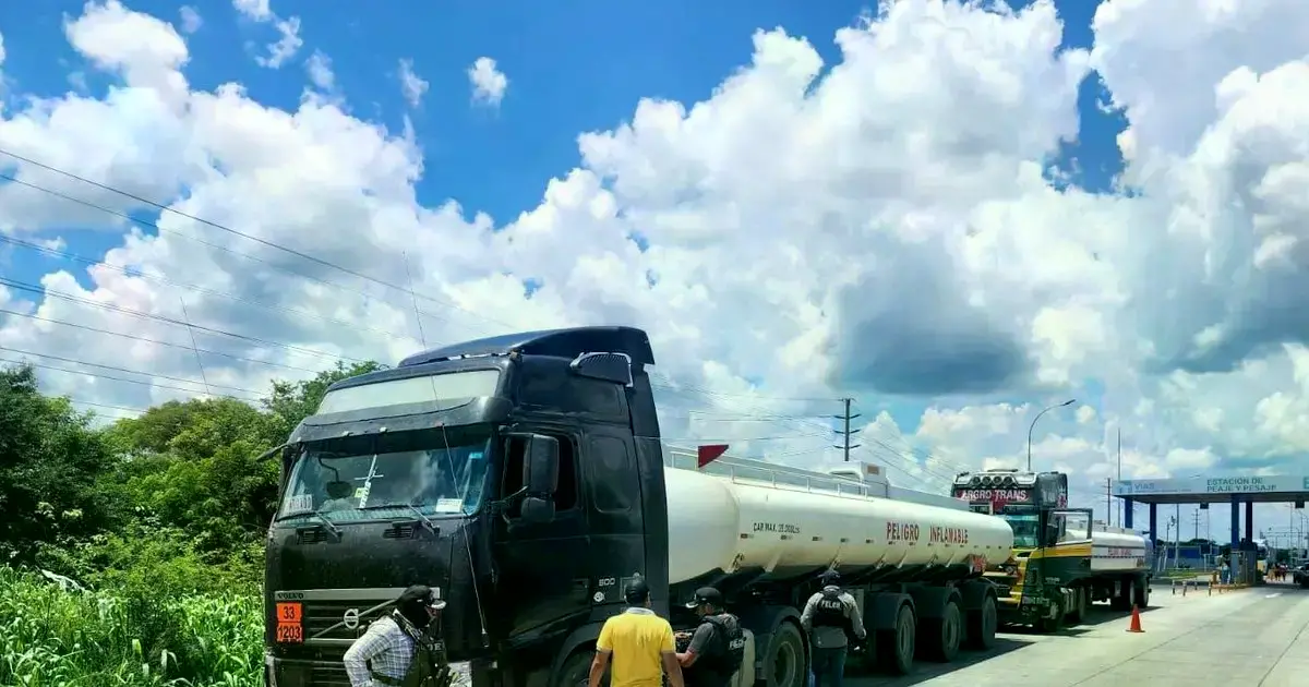 La droga incautada durante el operativo de la Felcn.