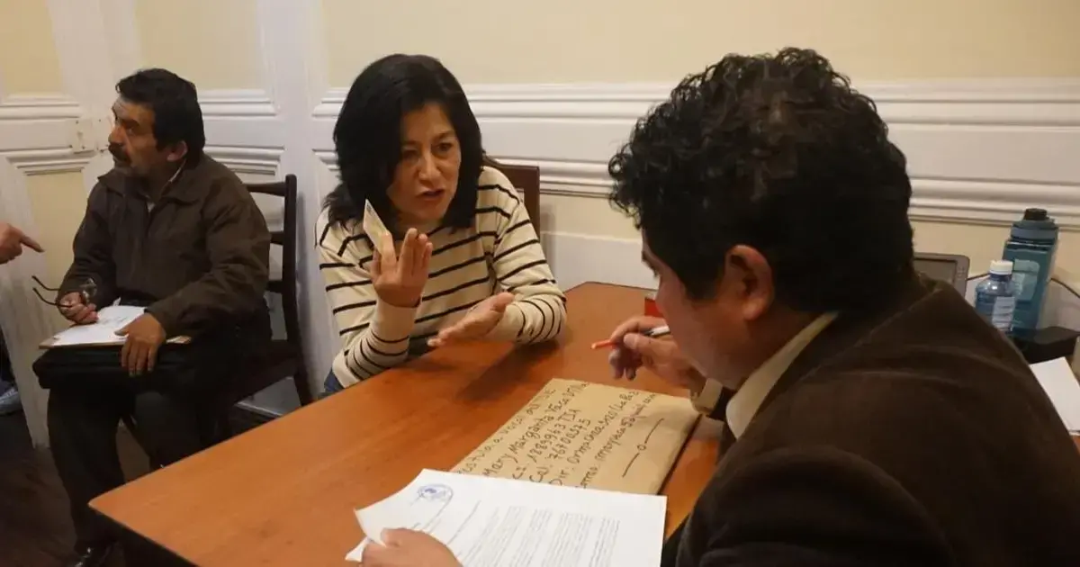 La periodista Mery Vaca presentó su postulación a vocal del TSE.