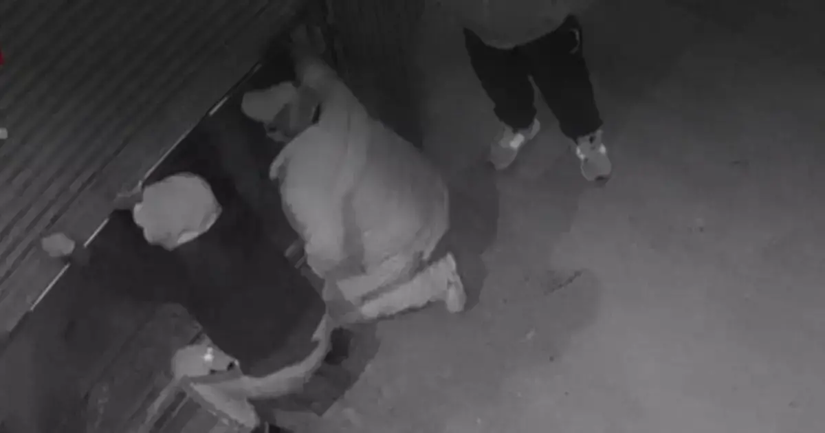 Tres ladrones huyen del lugar tras activarse la alarma.