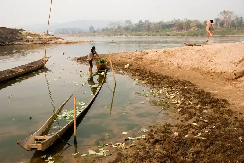 Mujer recogiendo plantas en la orilla del río Mekong con un niño al fondo.