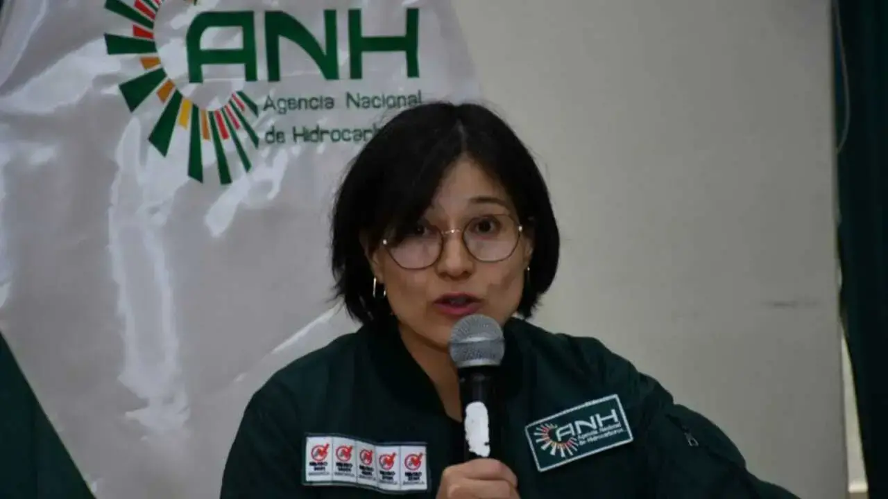 La directora de la ANH, Margot Ayala.