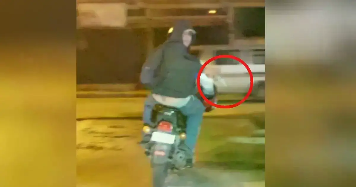 Imagen sin título