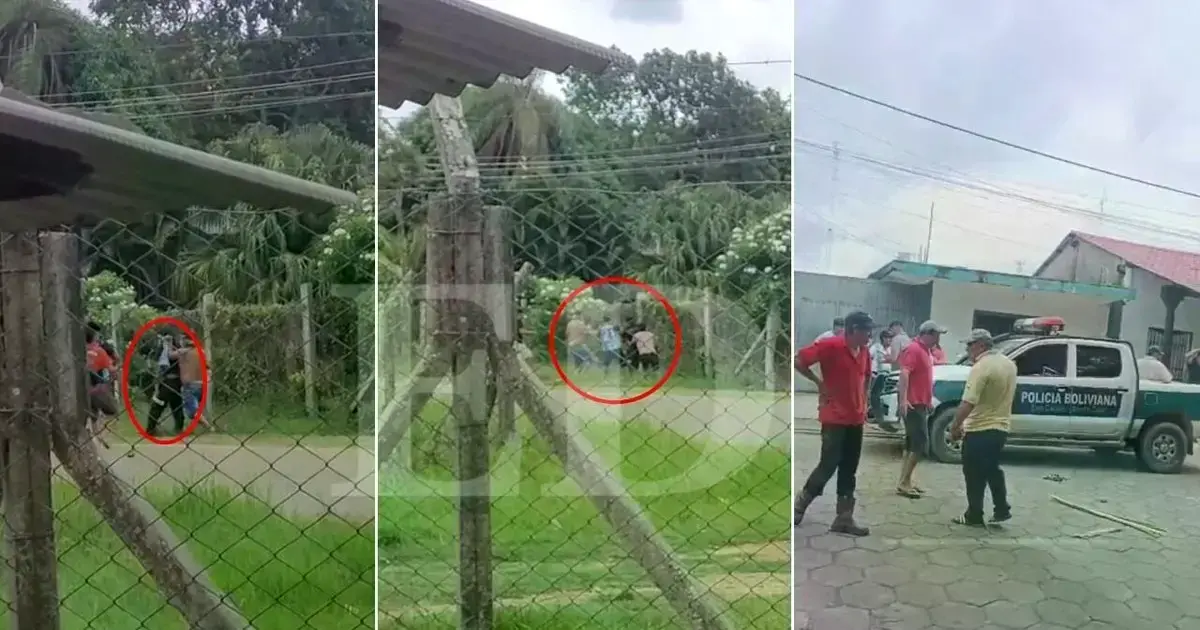 Imagen sin título