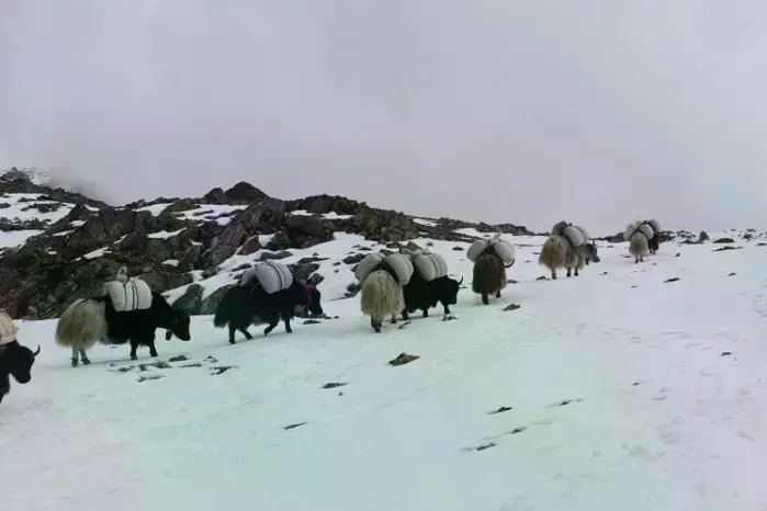 Thudam village in Lungbasamba area.