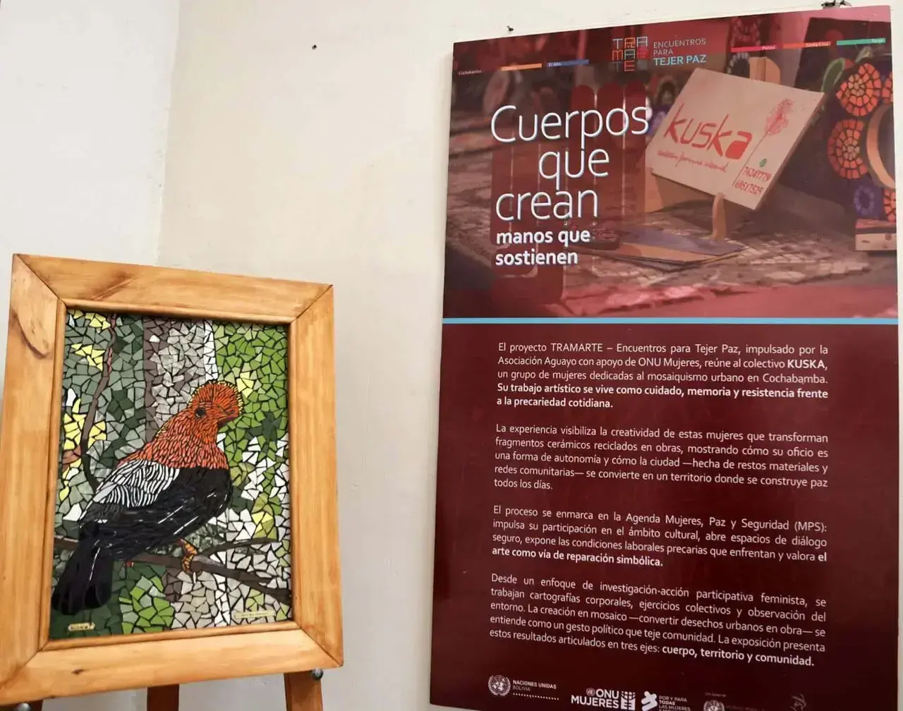 Imagen sin título