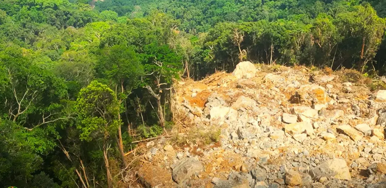 Un gran deslizamiento de tierra en la Cordillera de Knuckles destruyó la cubierta forestal.