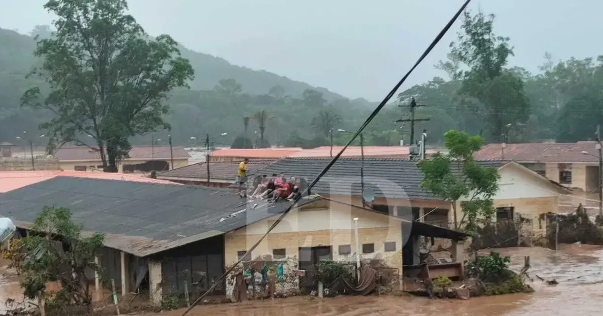 Imagen sin título