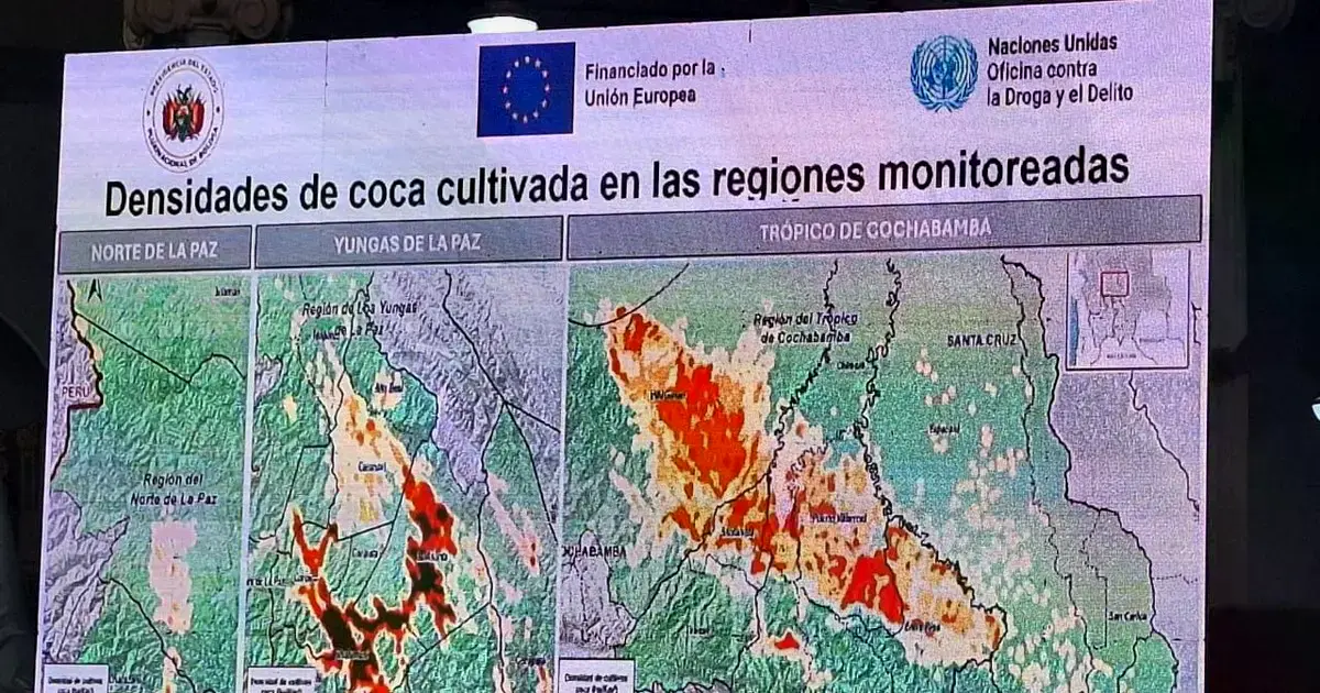 Mapa sobre la densidad de los cultivos de coca en los Yungas de La Paz y el Trópico de Cochabamba.
