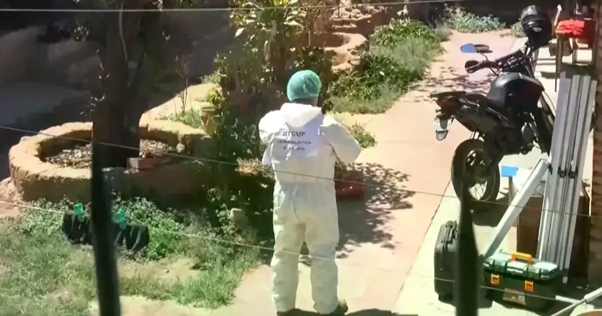 Imagen sin título
