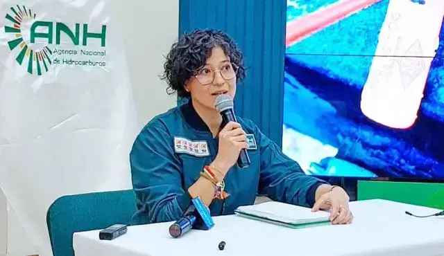 La directora ejecutiva de la ANH, Margot Ayala, este martes, ante la prensa.