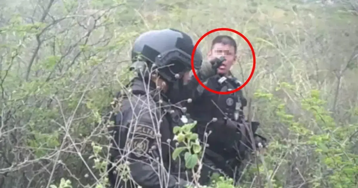 Imagen sin título