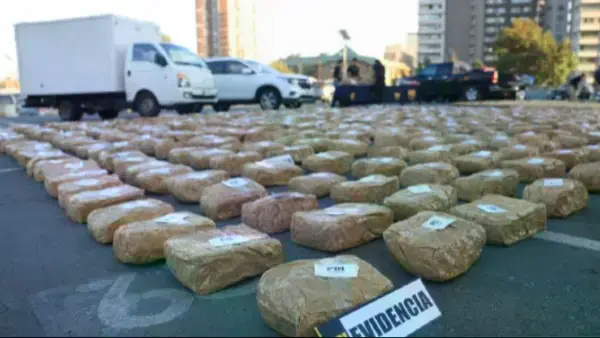 Imagen sin título