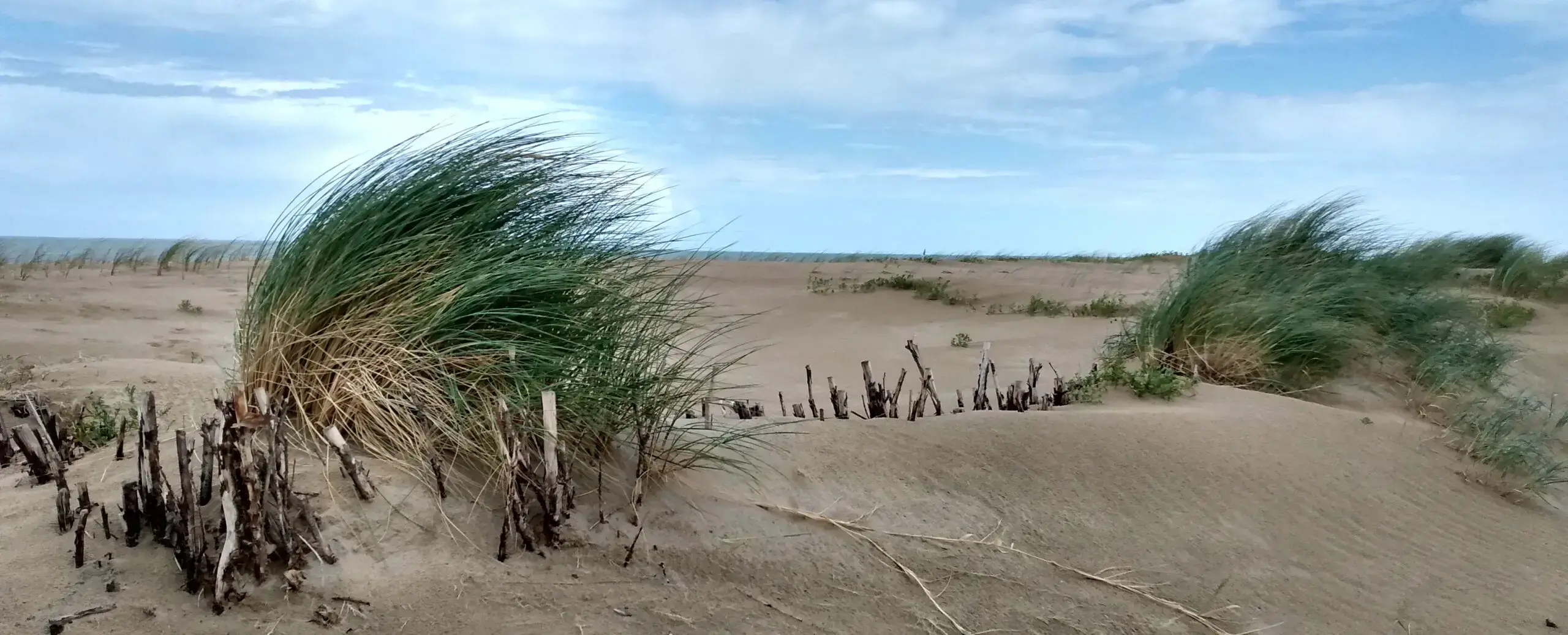 Vista aérea del sistema duna-delante-de-dique en Raversijde, establecido en 2021.