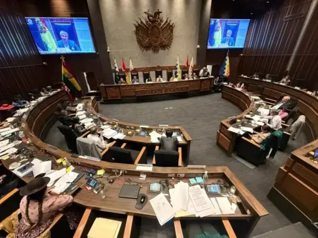 La sesión de este jueves en la Cámara de Senadores.