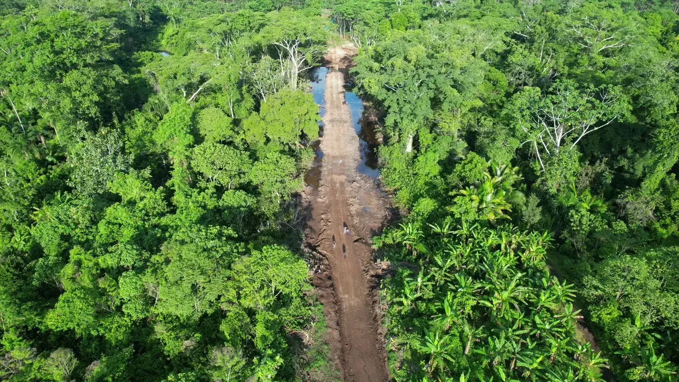 Drone captura una carretera cortando áreas propensas a inundaciones en la Amazonía.