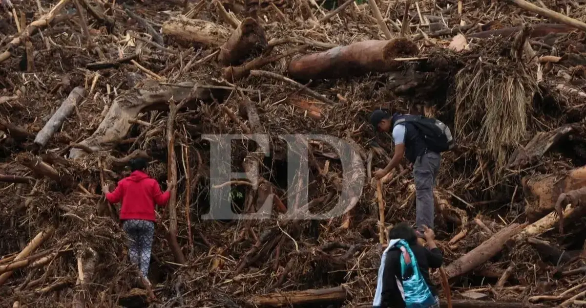 Palizada en El Torno