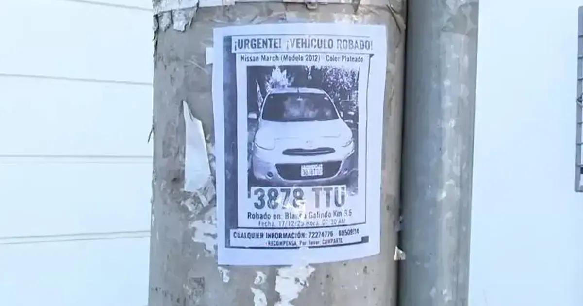 Familiares pegaron panfletos para buscar el vehículo robado