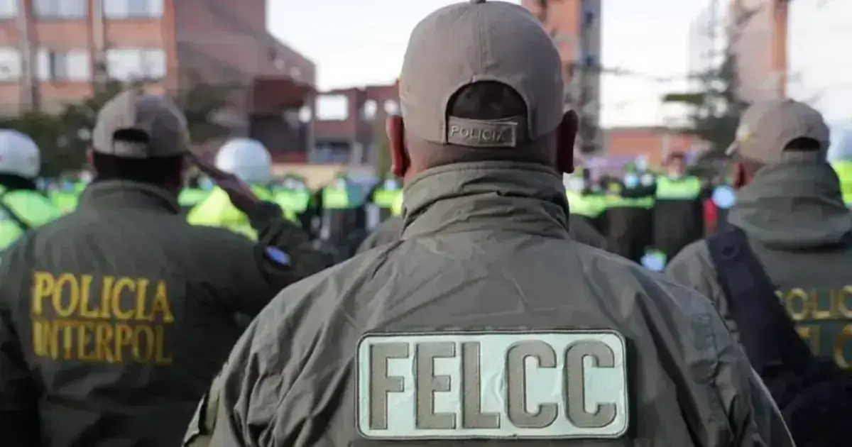 Imagen sin título