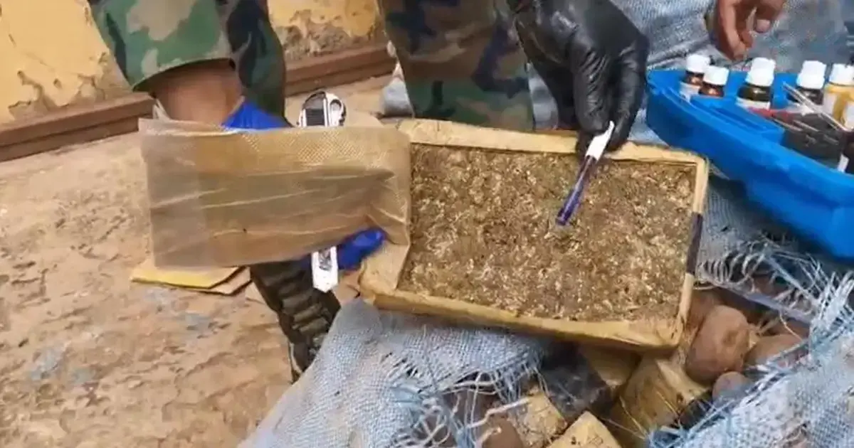 La marihuana fue camuflada en los costales de papa.