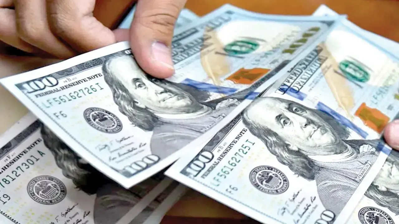 Imagen referencial de billetes de dólares.