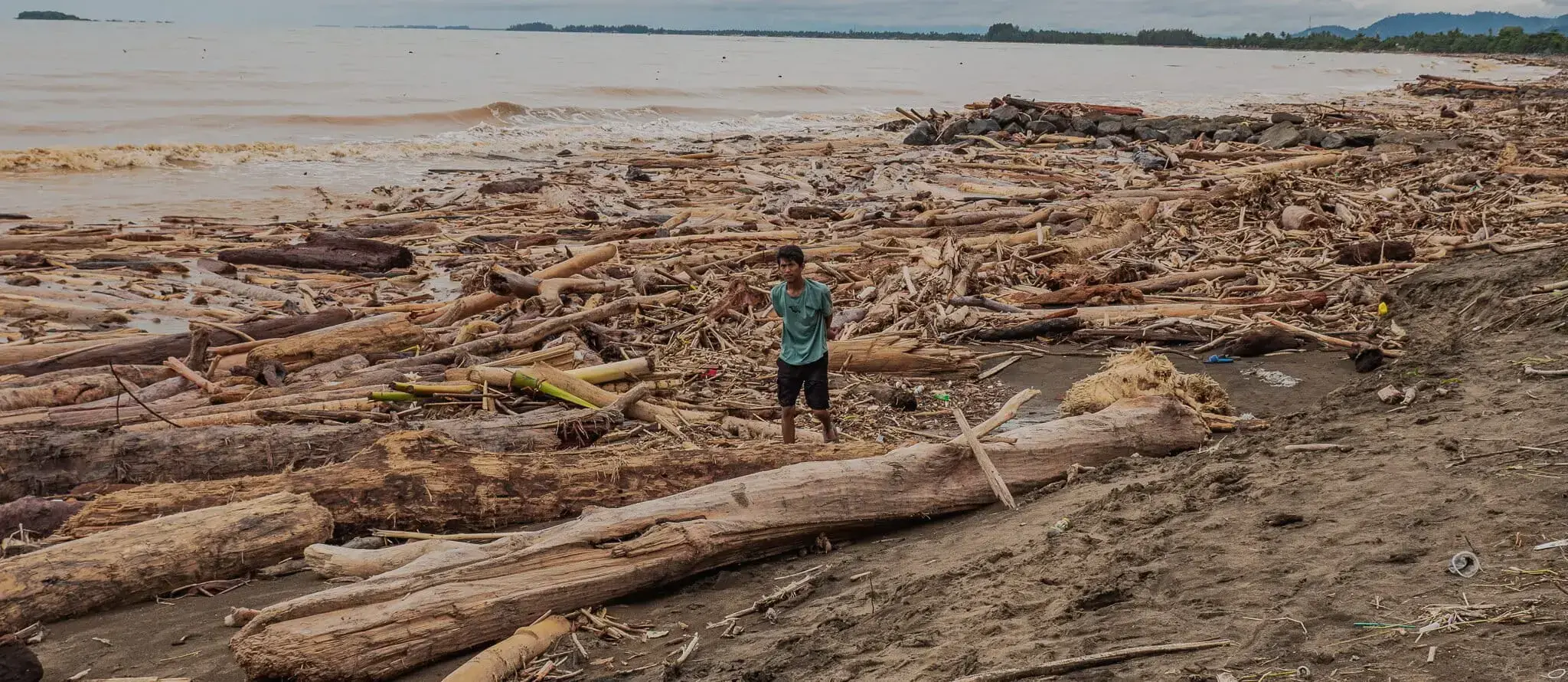Residentes observan pilas de troncos en la playa de Patenggangan, Padang.