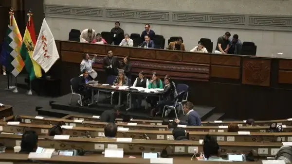 Elección de los vocales del TSE.