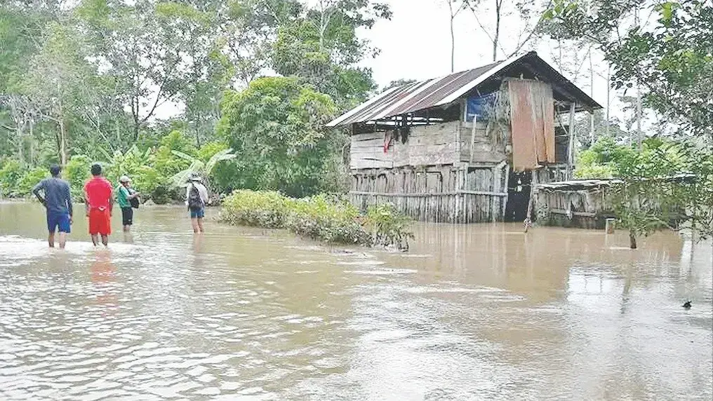 Viviendas afectadas por desborde de río en el Trópico.