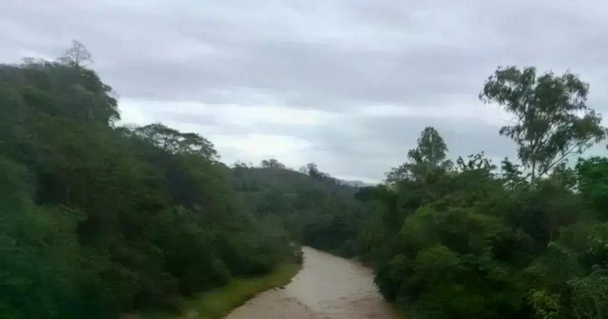 Imagen sin título