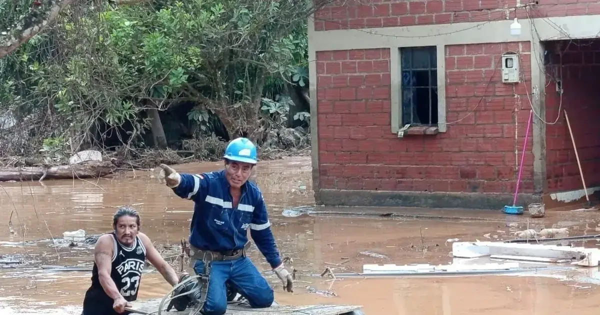 Imagen sin título