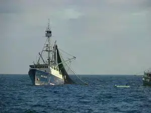 Un barco pesquero de cerco de atún en el Océano Pacífico, frente a la costa de México.